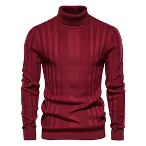 Pull Homme à Col Montant Sampaio Atalan®